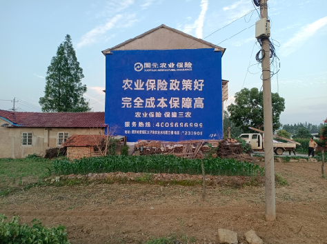 上犹墙体广告为何受追捧？